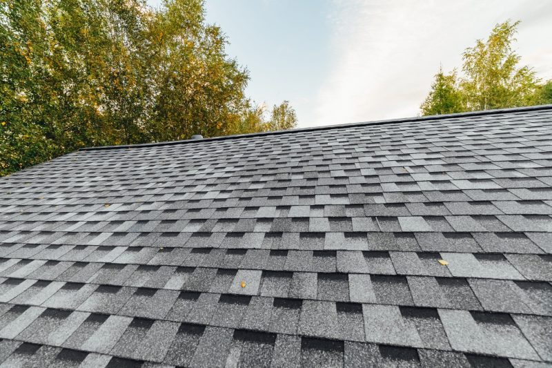 roofers near me